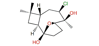 Rumphellatin C